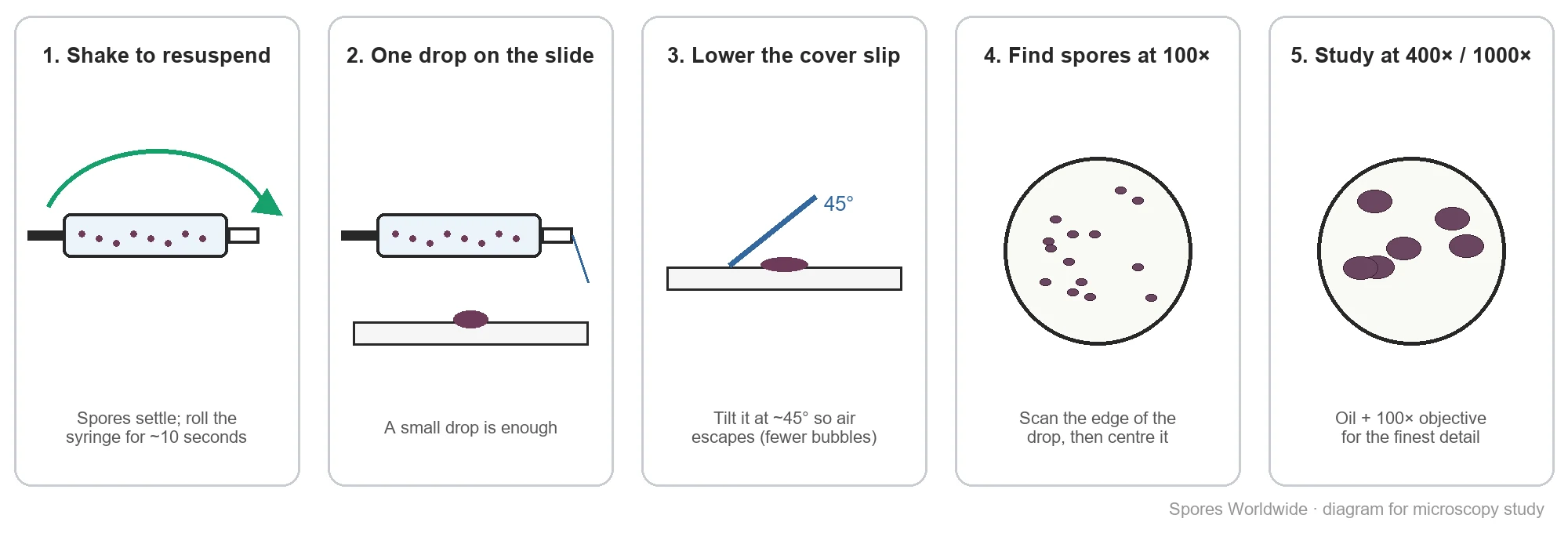 Five-step diagram: resuspend the spore syringe, place one drop on a slide, lower the cover slip at 45 degrees, find spores at 100x, study at 400x to 1000x