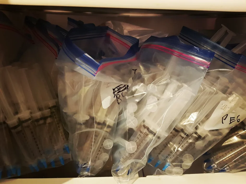 Filled 10cc spore syringes sorted into labelled bags by strain, stored in a drawer