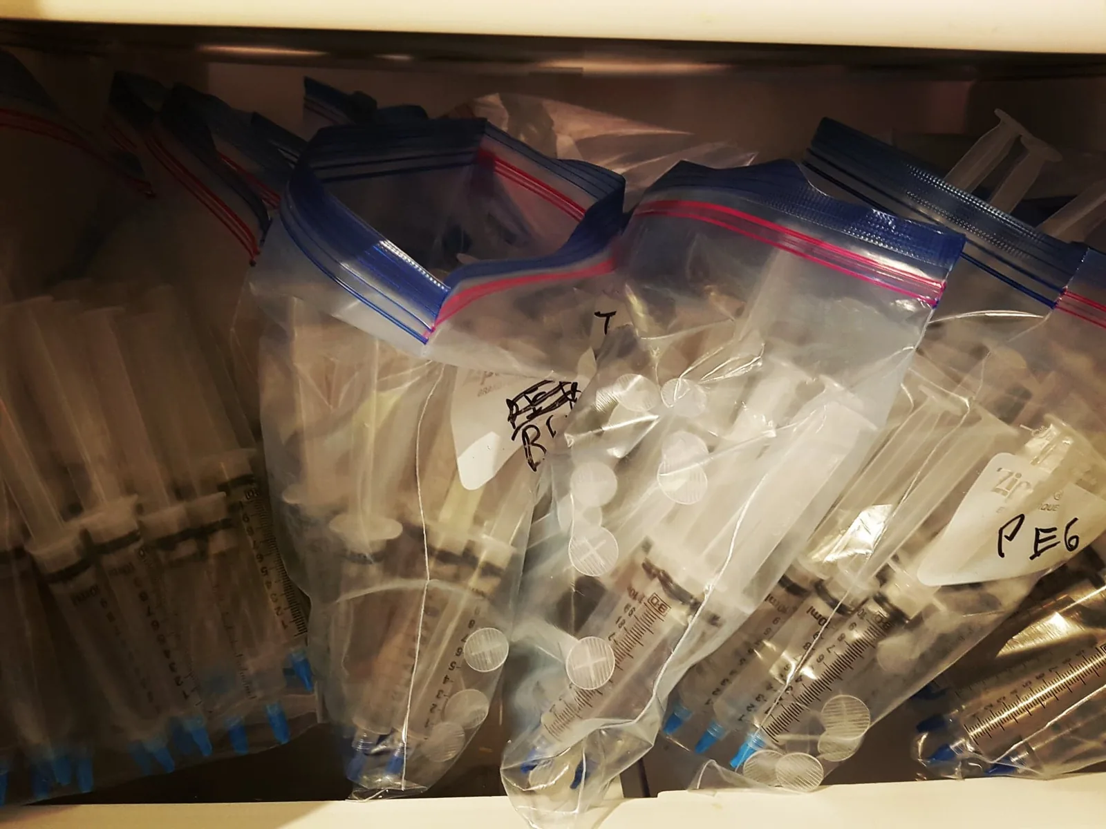 Filled 10cc spore syringes sorted into labelled bags by strain, stored in a drawer