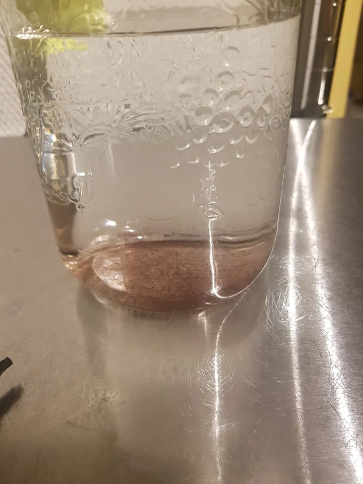 Jar of sterile water on a stainless steel bench with mushroom spores settled on the bottom